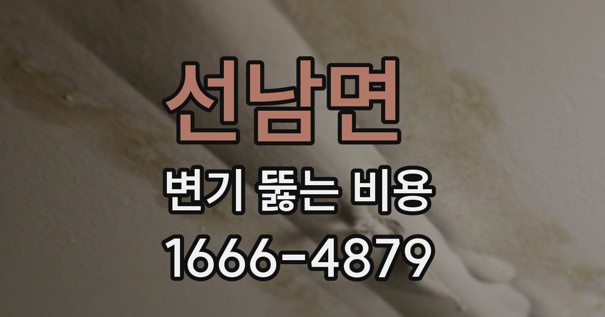 선남면 변기 뚫는 비용