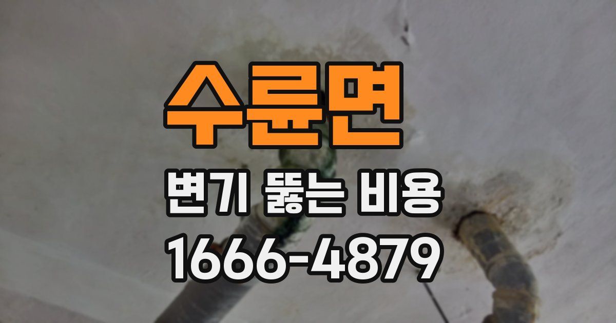 수륜면 변기 뚫는 비용