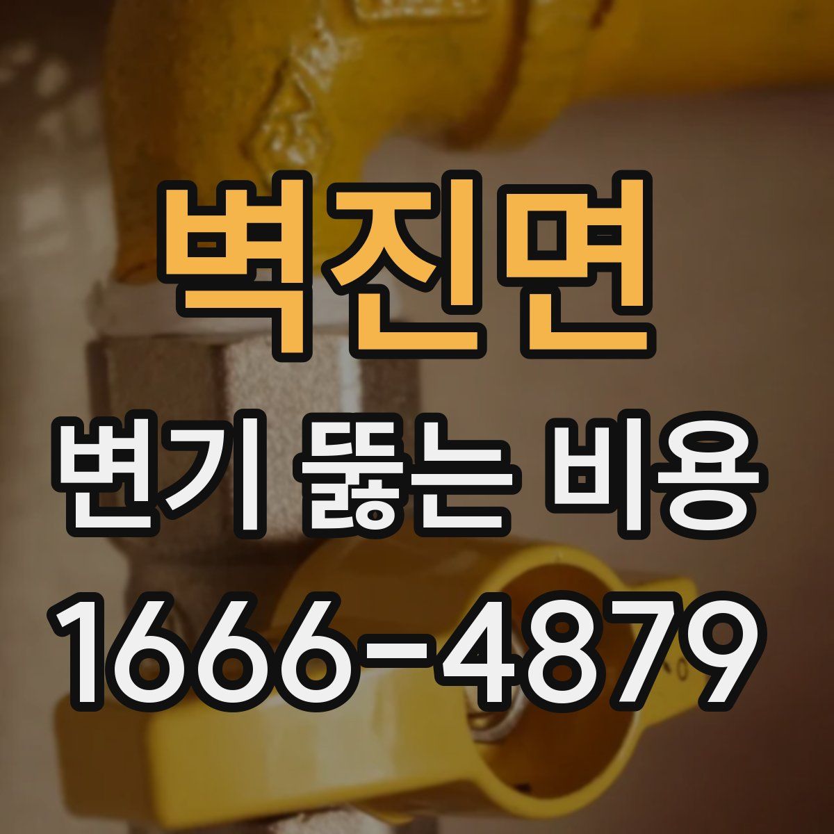 벽진면 변기 뚫는 비용
