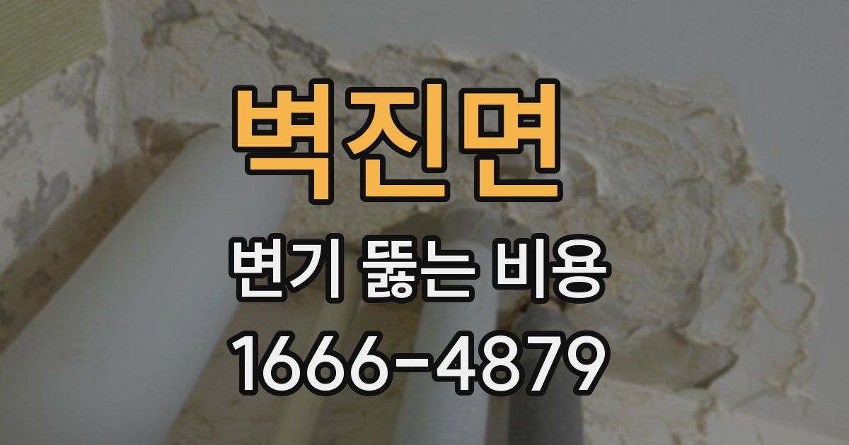 벽진면 변기 뚫는 비용