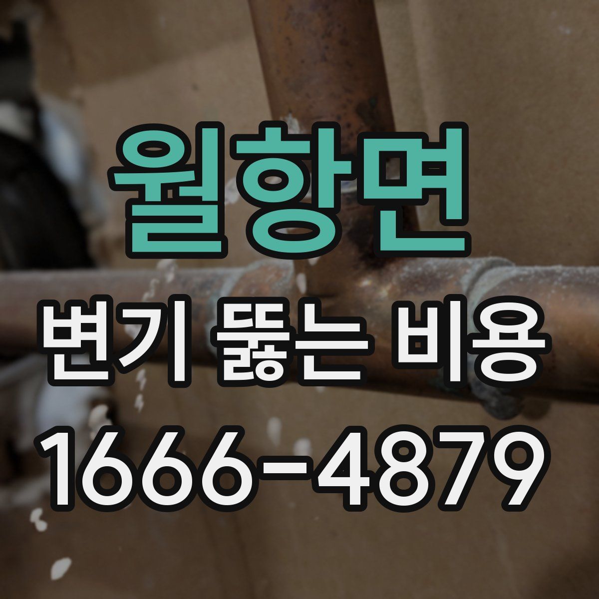 월항면 변기 뚫는 비용