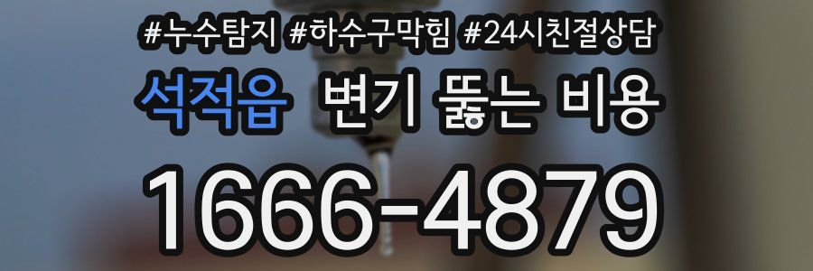 석적읍 변기 뚫는 비용