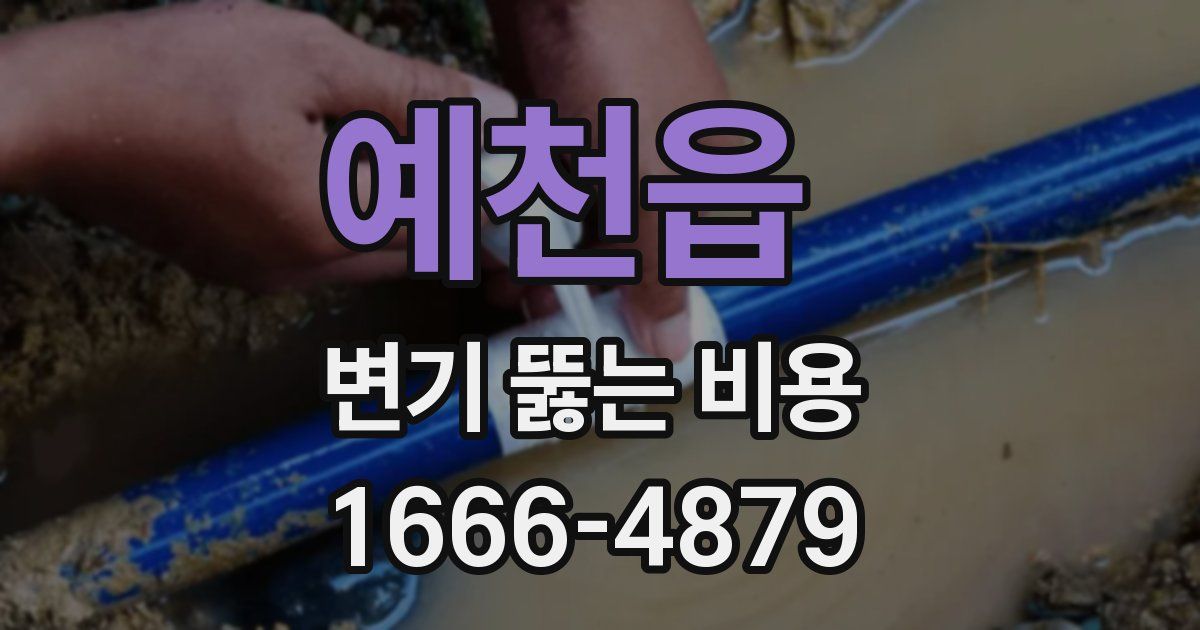 예천읍 변기 뚫는 비용