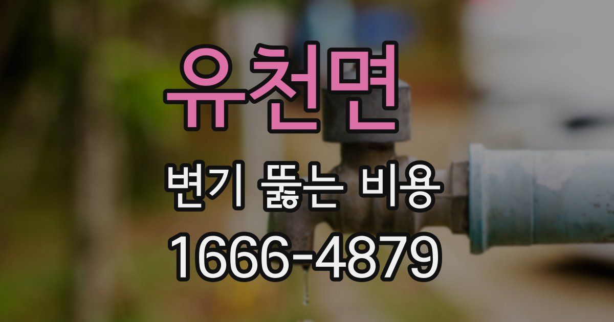 유천면 변기 뚫는 비용