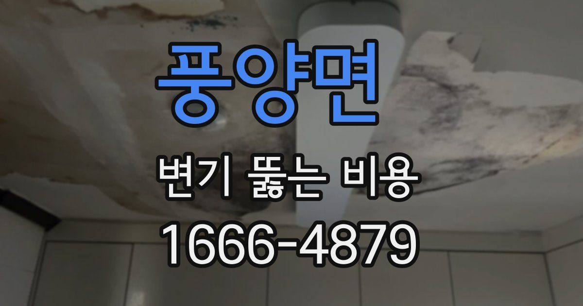 풍양면 변기 뚫는 비용