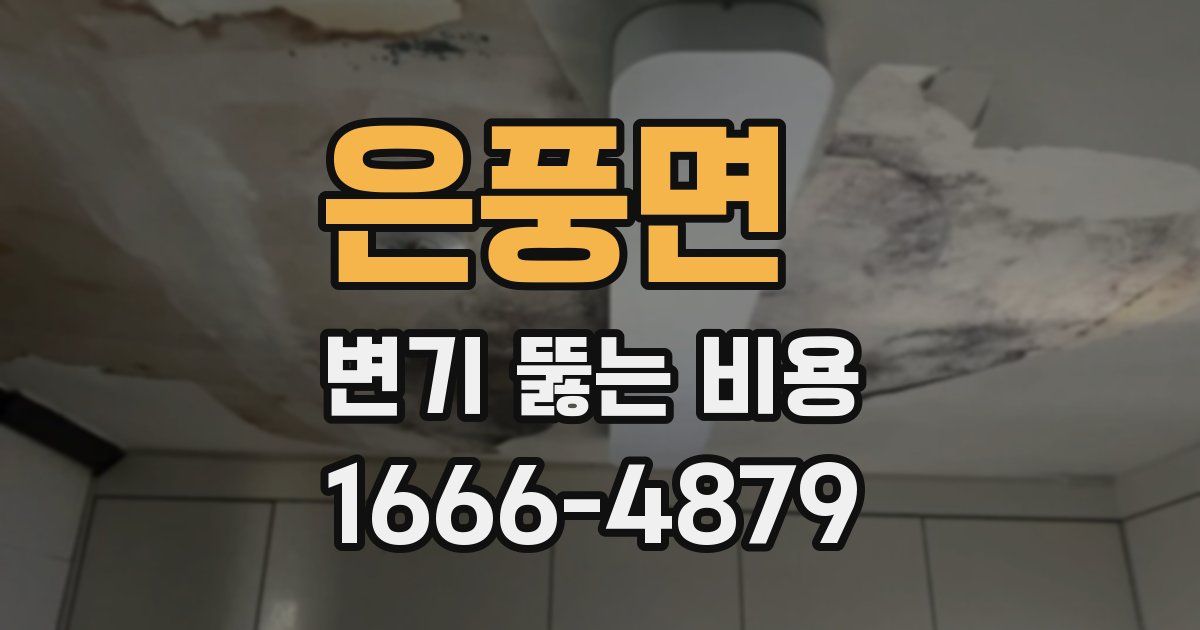 은풍면 변기 뚫는 비용