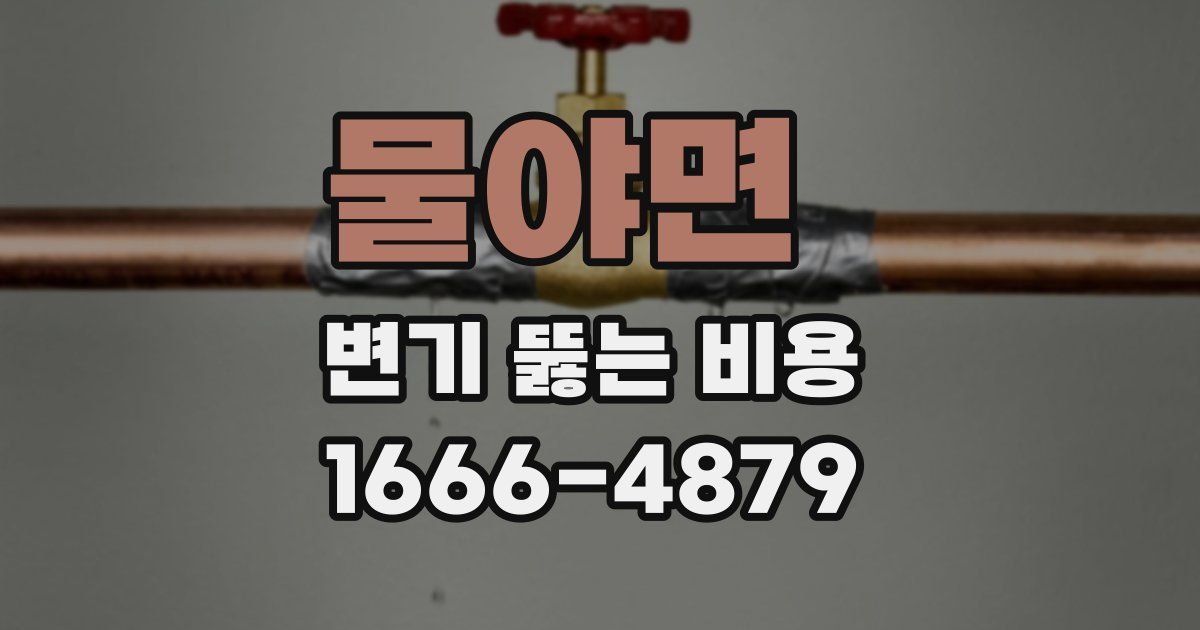 물야면 변기 뚫는 비용