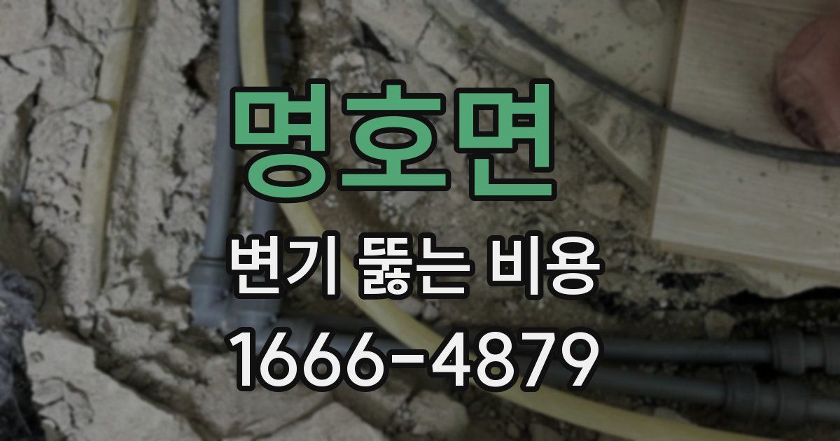 명호면 변기 뚫는 비용