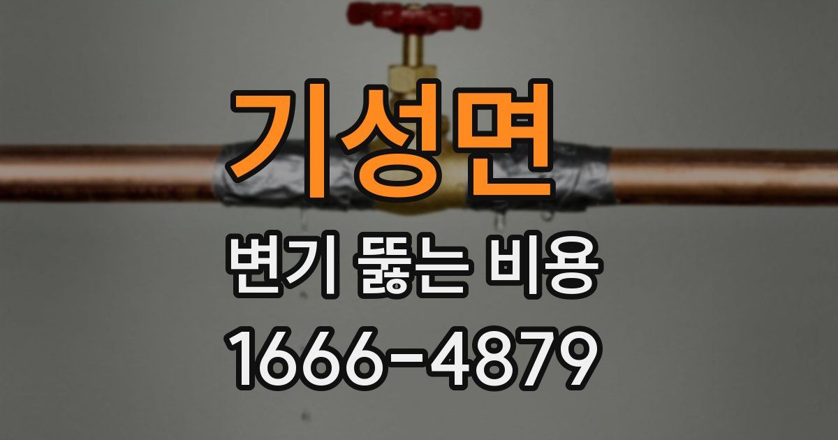 기성면 변기 뚫는 비용