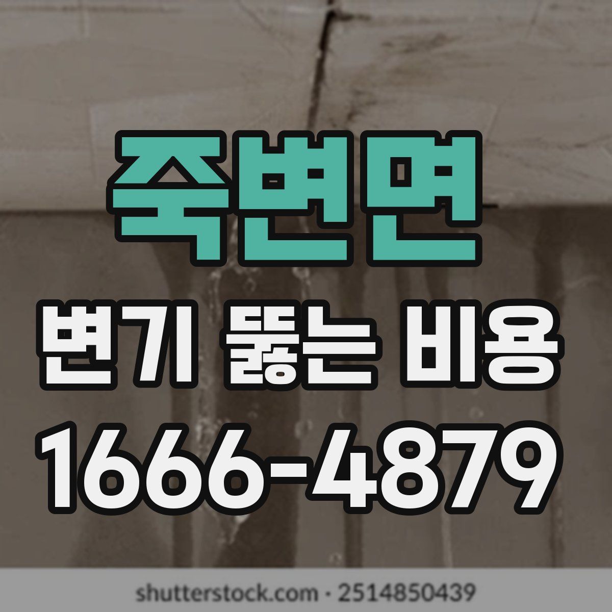 죽변면 변기 뚫는 비용