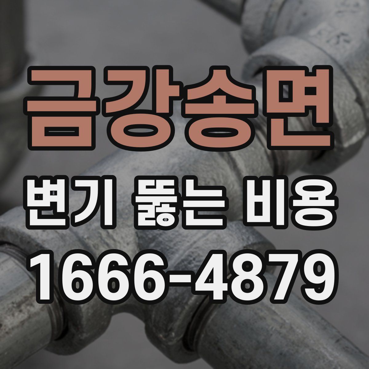 금강송면 변기 뚫는 비용