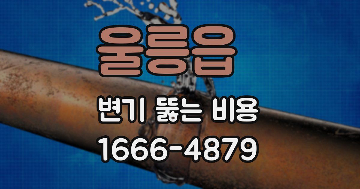 울릉읍 변기 뚫는 비용