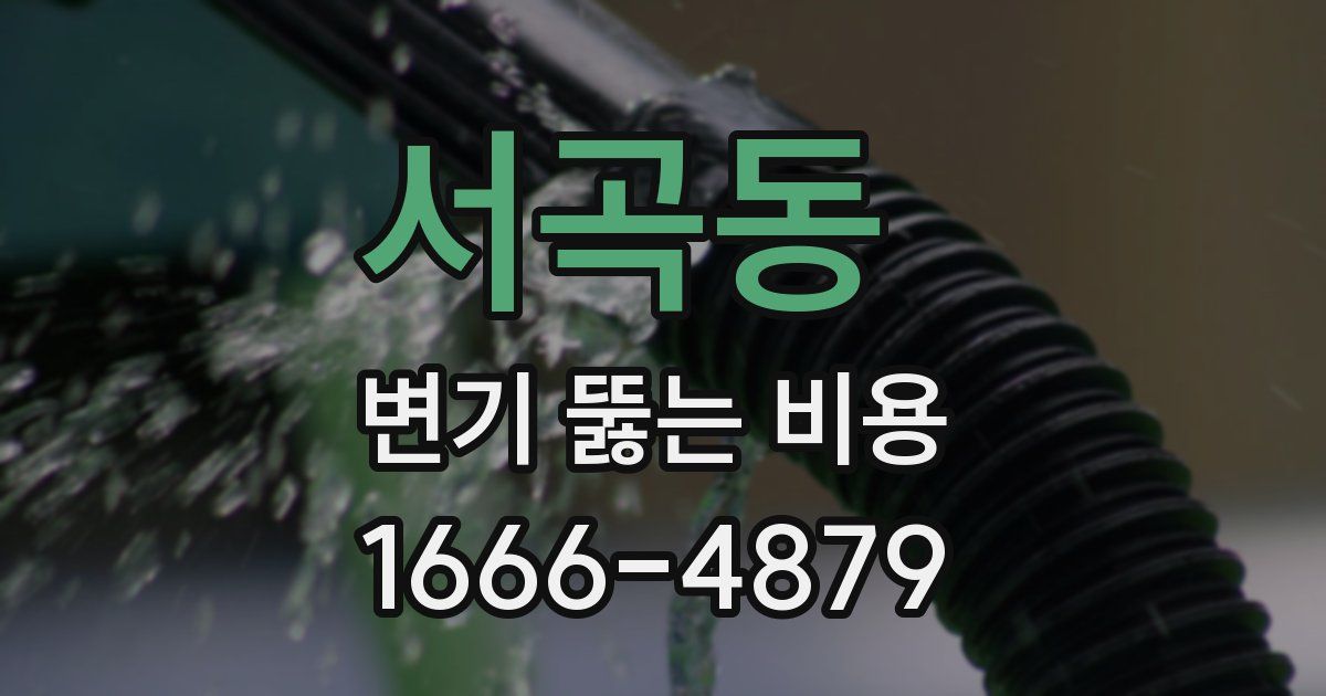 서곡동 변기 뚫는 비용