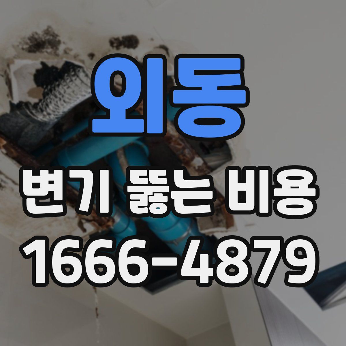 외동 변기 뚫는 비용