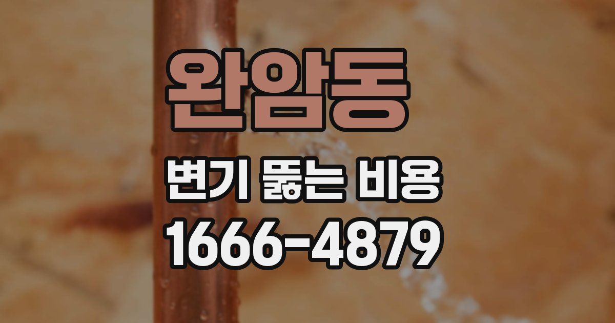 완암동 변기 뚫는 비용