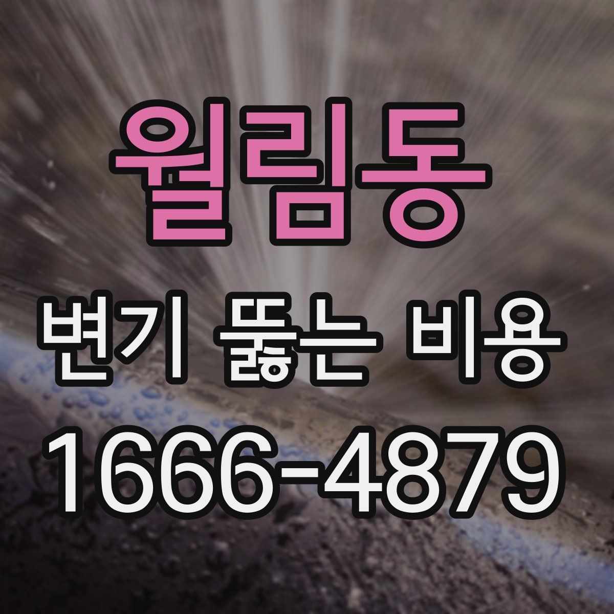 월림동 변기 뚫는 비용