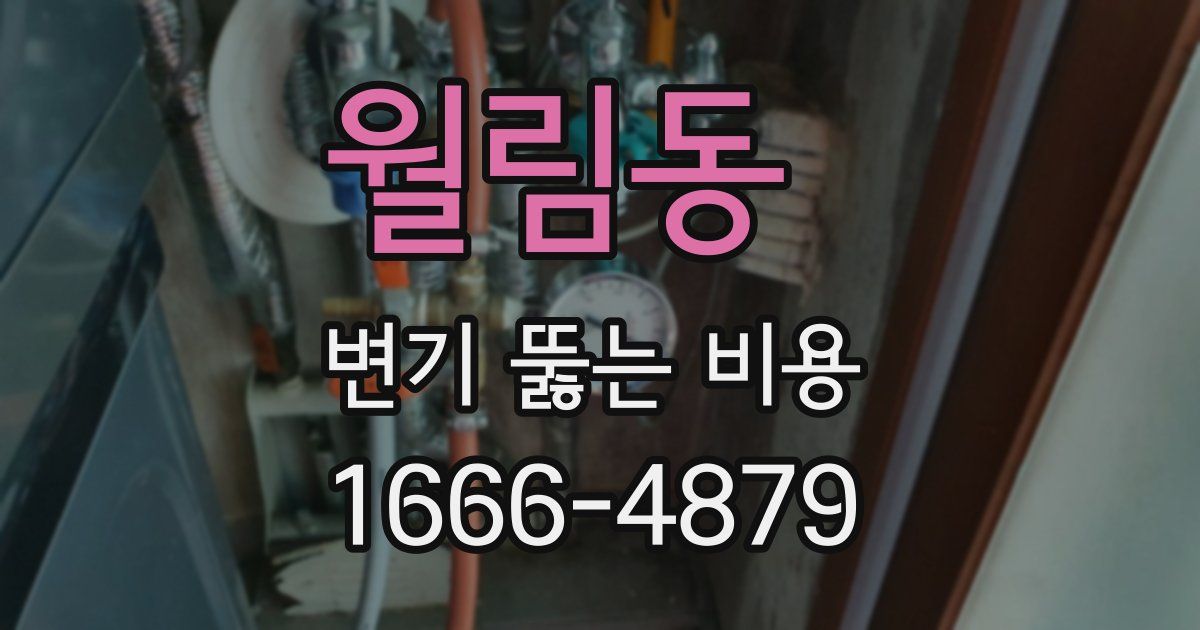 월림동 변기 뚫는 비용