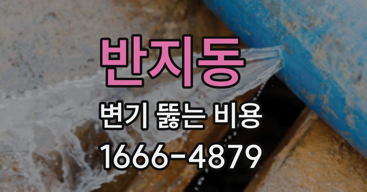 반지동 변기 뚫는 비용