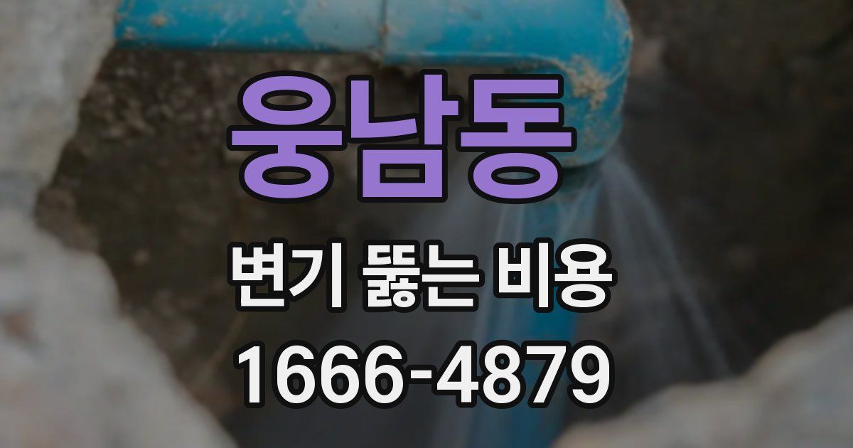 웅남동 변기 뚫는 비용