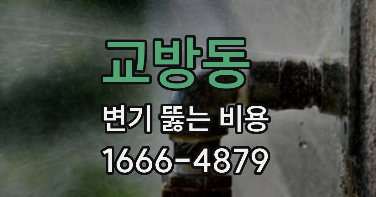 교방동 변기 뚫는 비용