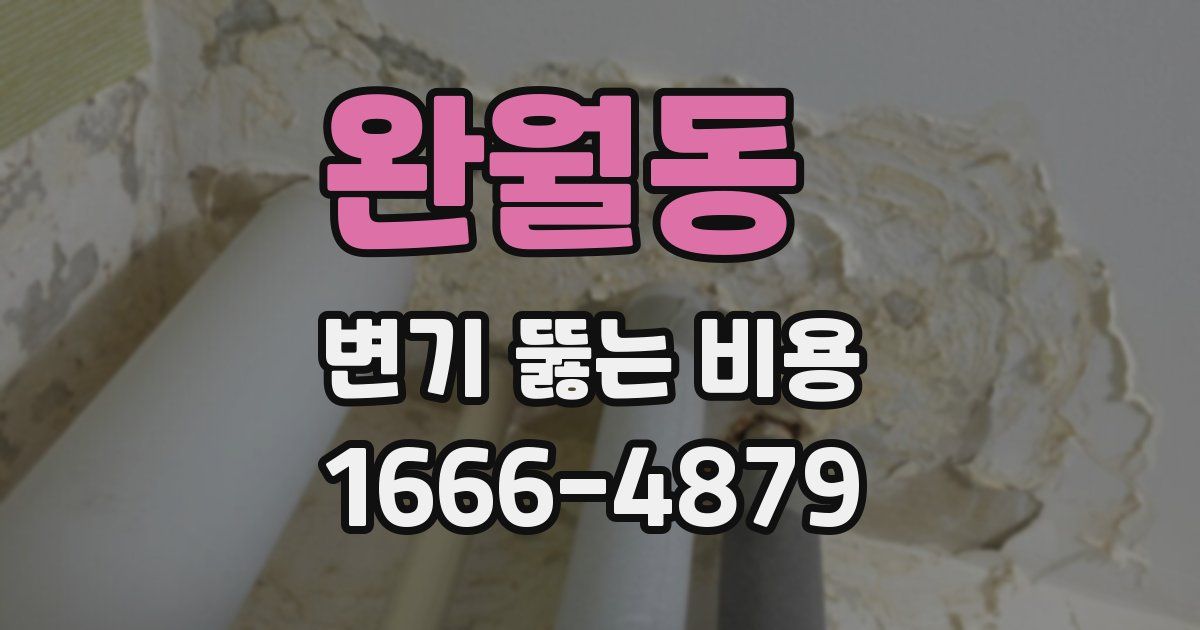 완월동 변기 뚫는 비용