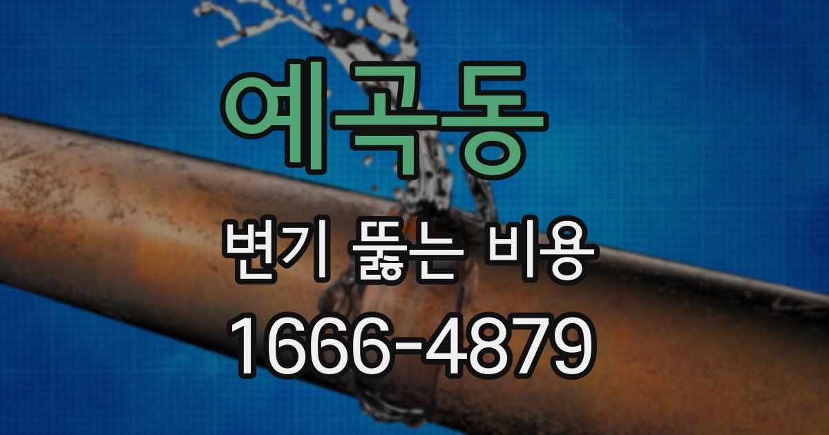 예곡동 변기 뚫는 비용