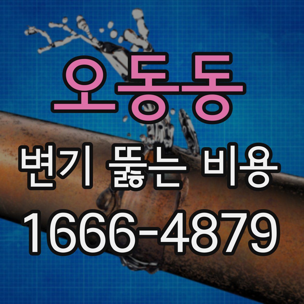 오동동 변기 뚫는 비용