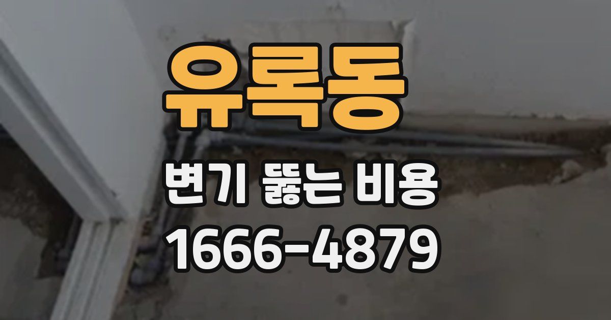 유록동 변기 뚫는 비용