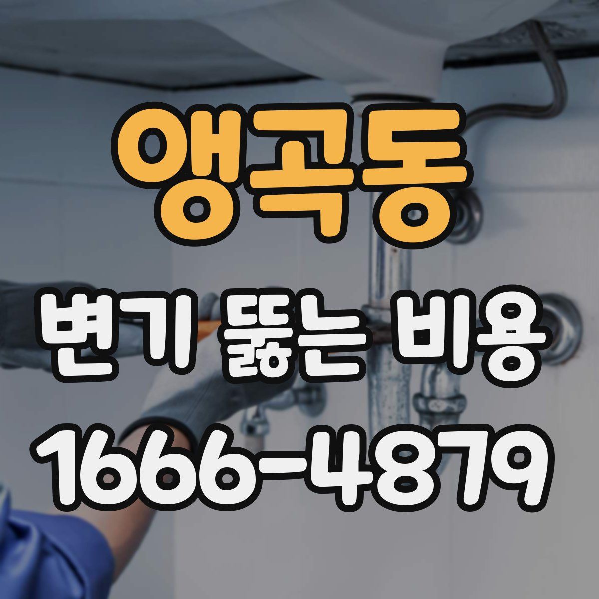 앵곡동 변기 뚫는 비용