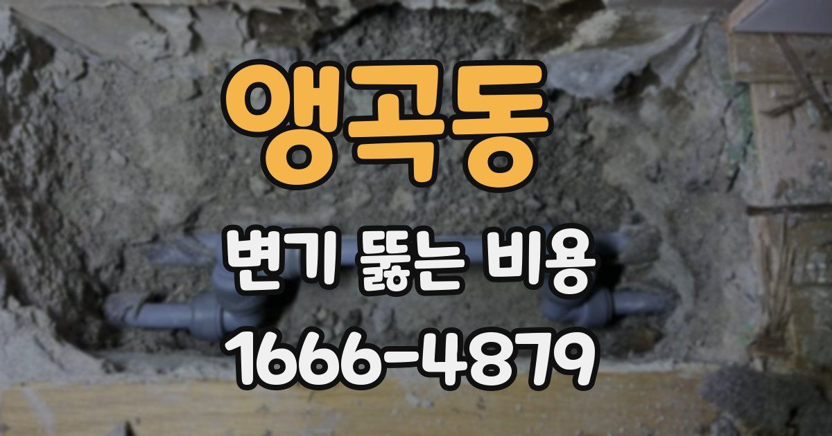앵곡동 변기 뚫는 비용