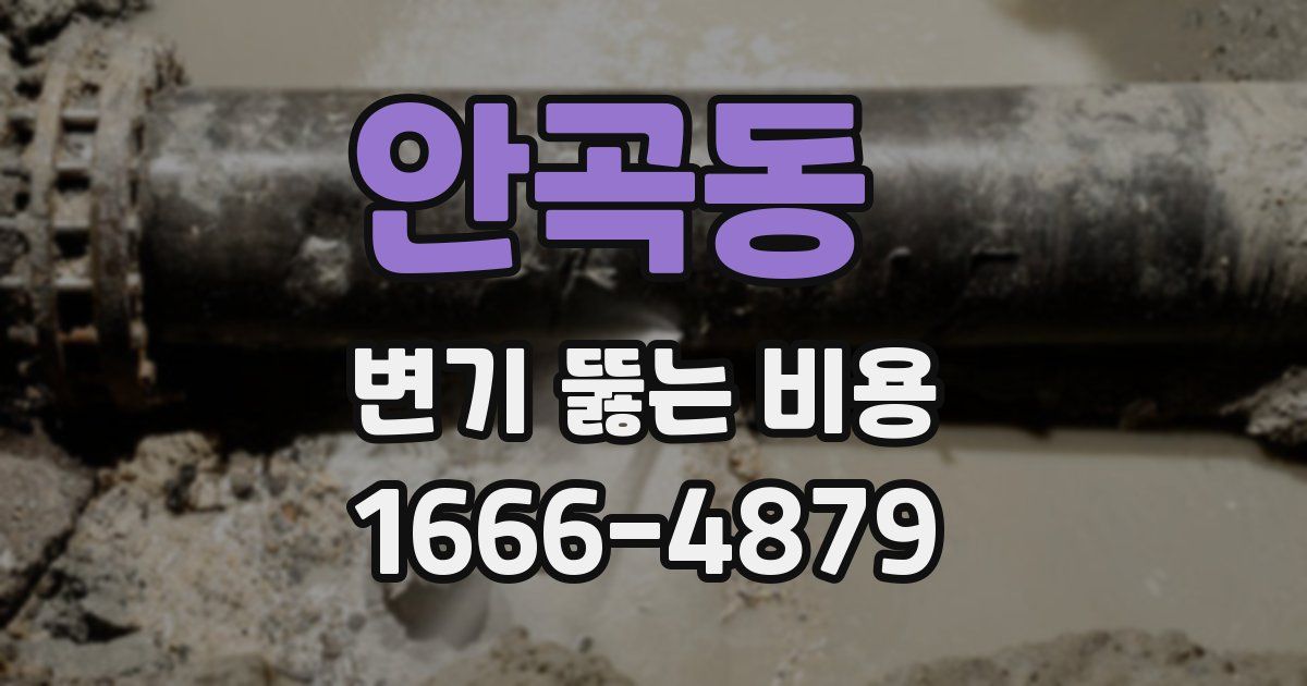안곡동 변기 뚫는 비용