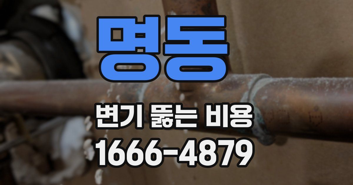명동 변기 뚫는 비용