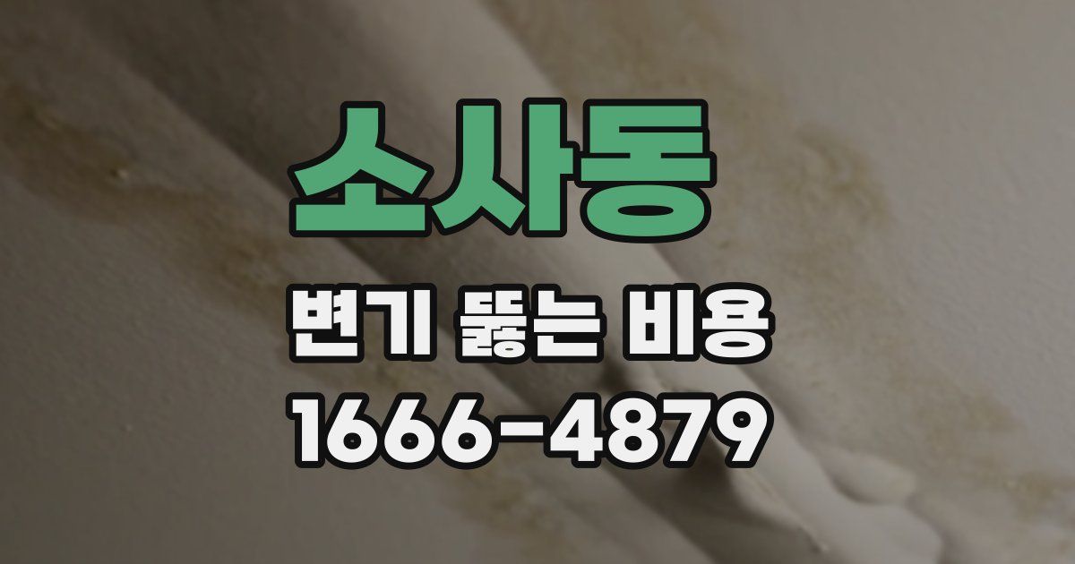 소사동 변기 뚫는 비용