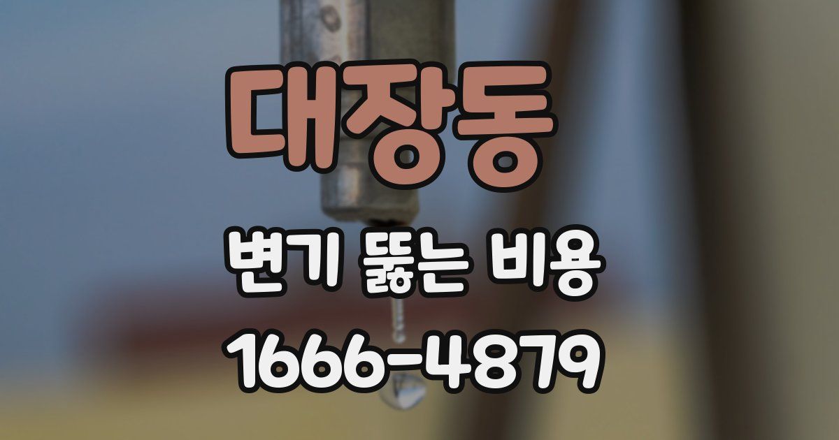대장동 변기 뚫는 비용