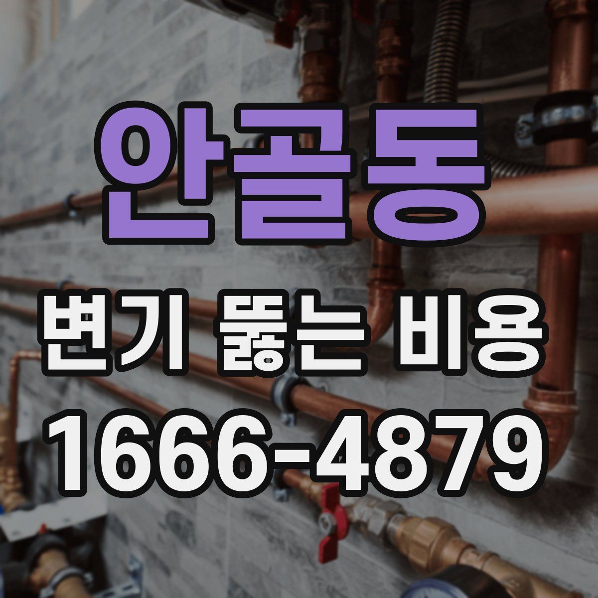 안골동 변기 뚫는 비용