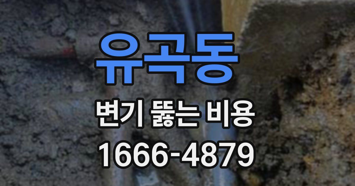 유곡동 변기 뚫는 비용