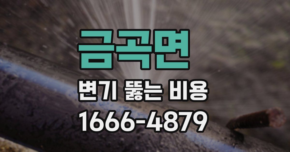 금곡면 변기 뚫는 비용