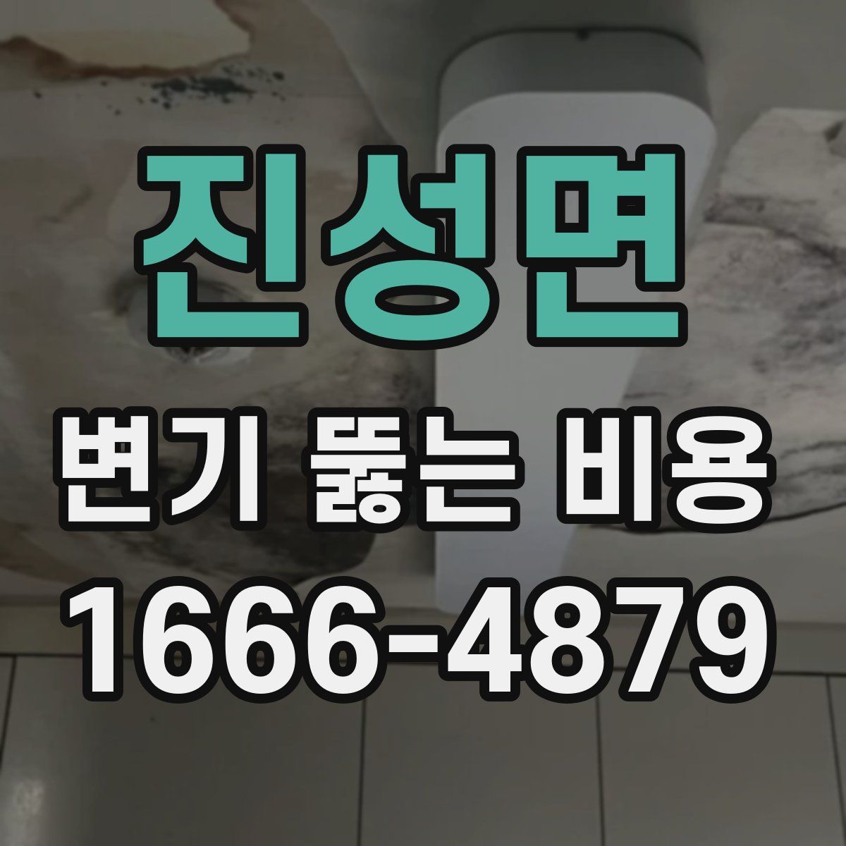 진성면 변기 뚫는 비용