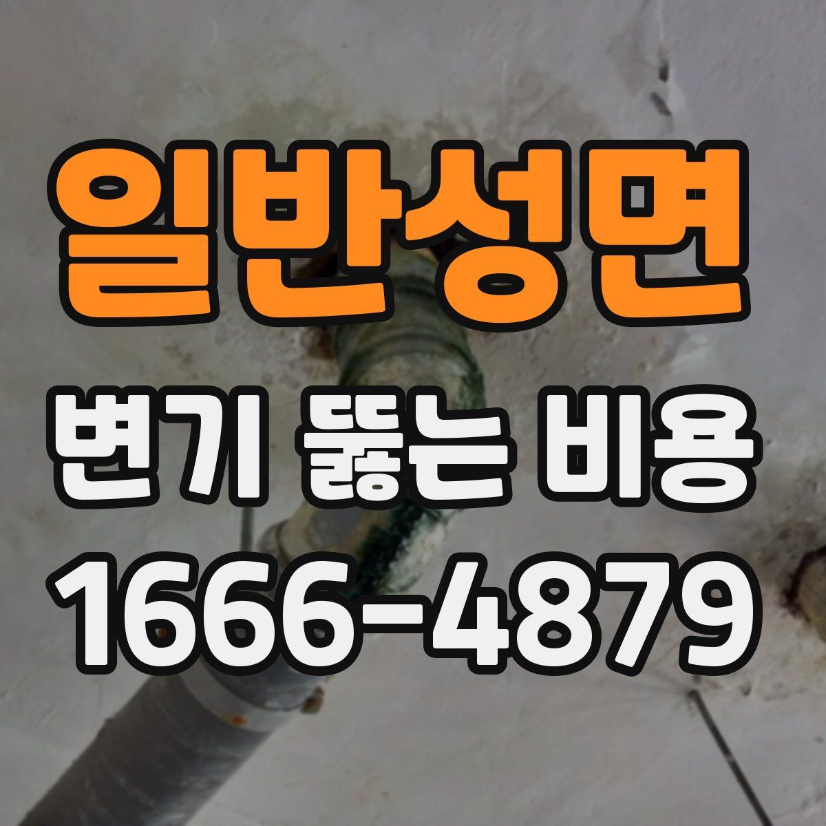 일반성면 변기 뚫는 비용