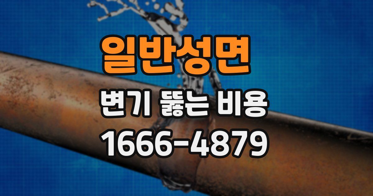 일반성면 변기 뚫는 비용