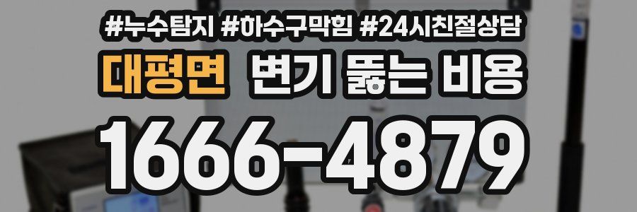대평면 변기 뚫는 비용