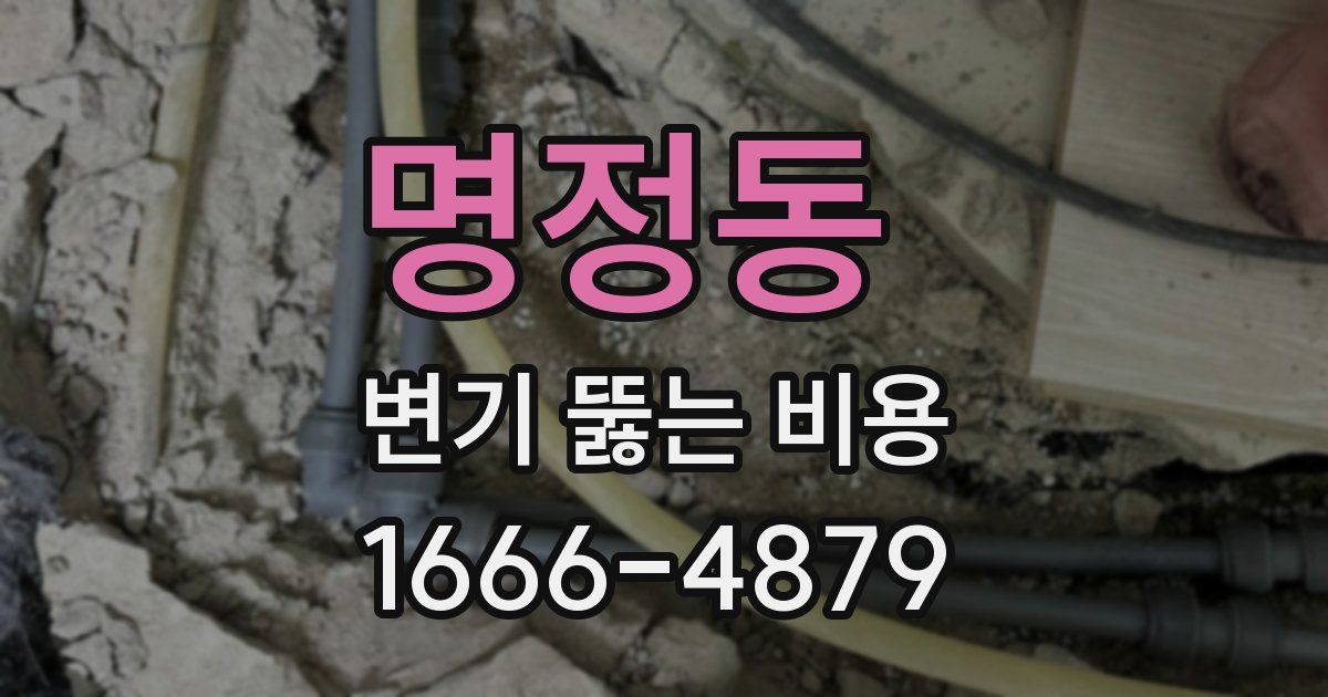 명정동 변기 뚫는 비용