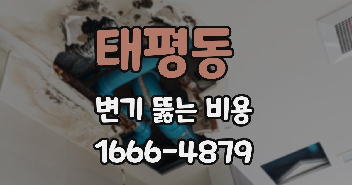 태평동 변기 뚫는 비용