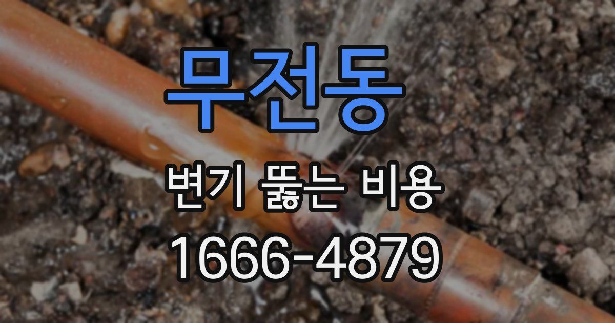 무전동 변기 뚫는 비용
