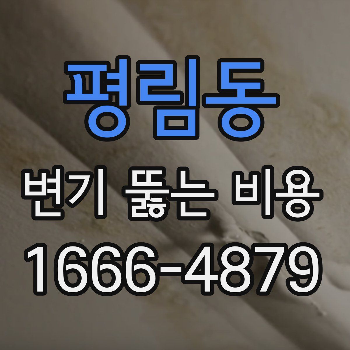 평림동 변기 뚫는 비용