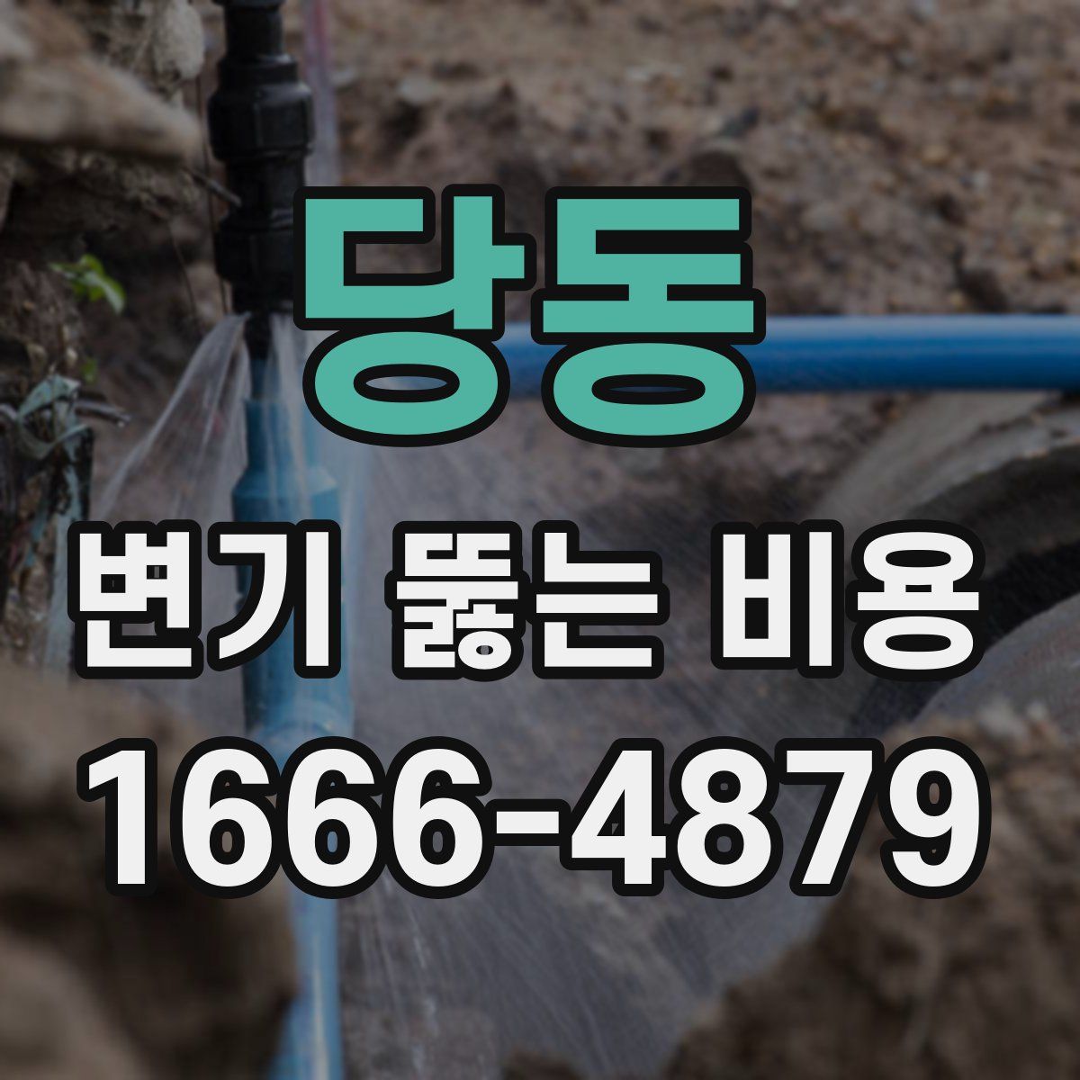 당동 변기 뚫는 비용