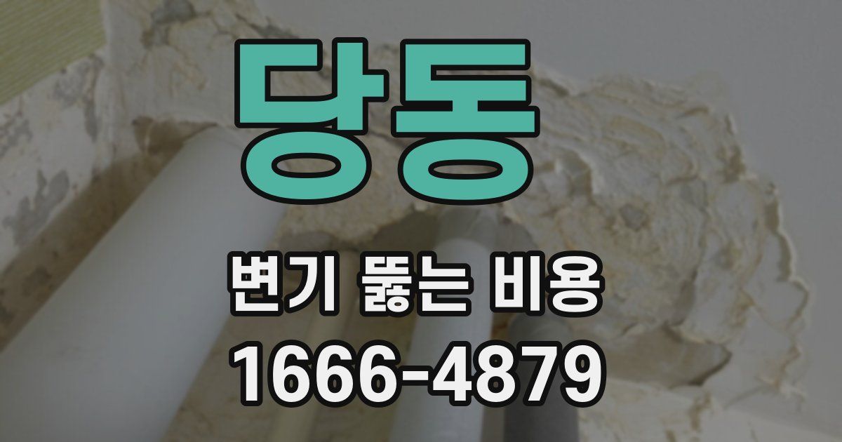 당동 변기 뚫는 비용