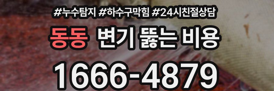 동동 변기 뚫는 비용