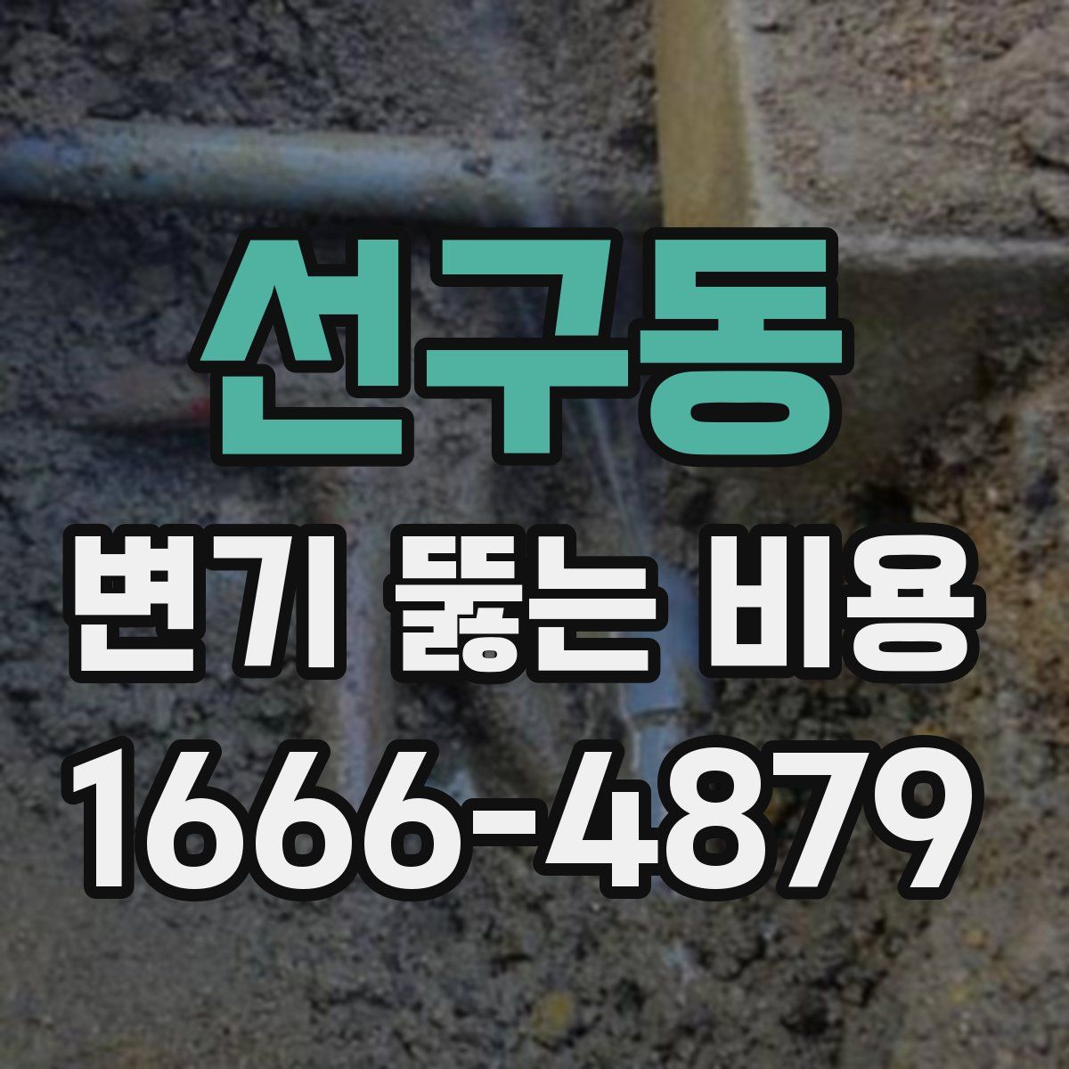 선구동 변기 뚫는 비용