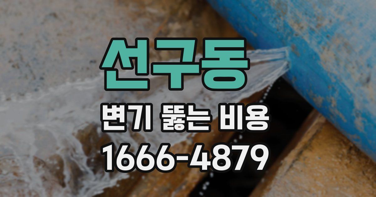 선구동 변기 뚫는 비용